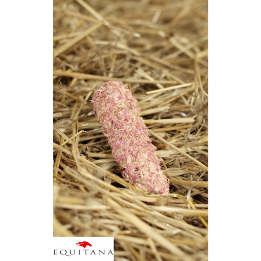 Ecler Candy Horse Cornflower