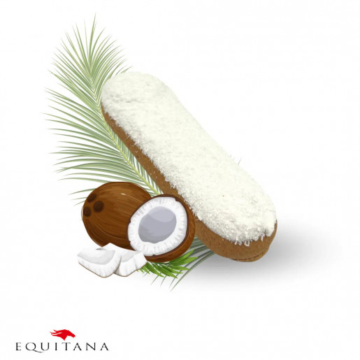 Ecler Candy Horse Coconut