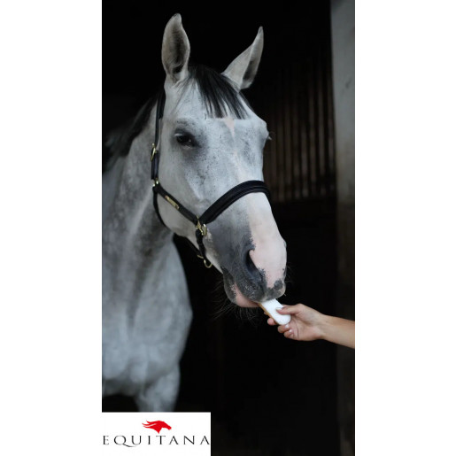 Ecler Candy Horse Coconut