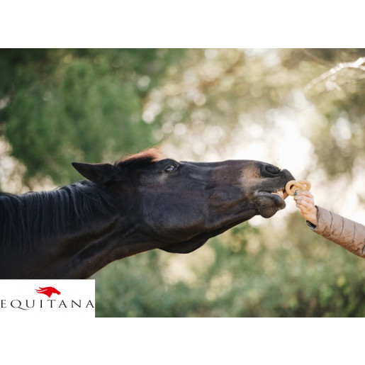 Covrigei Candy Horse