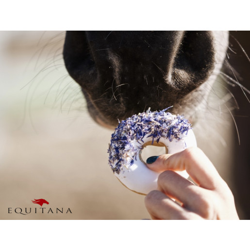 Gogosi cu macese si albastrele Candy Horse