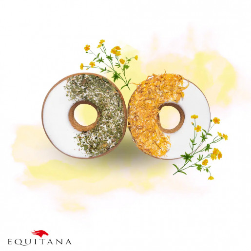 Gogosi cu galbenele si patrunjel Candy Horse