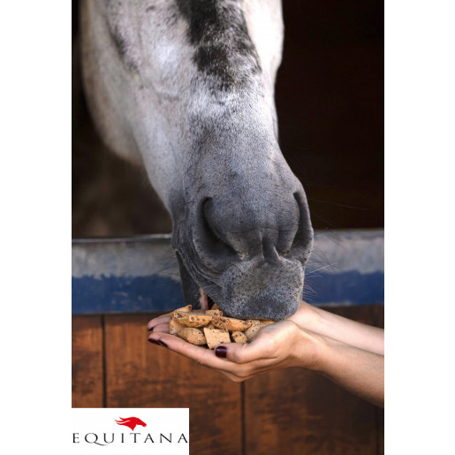 Recompense cu struguri si floarea-soarelui Candy Horse Hooves