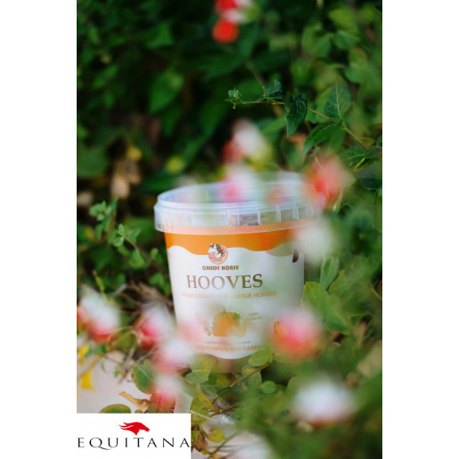 Recompense cu dovleac si morcovi Candy Horse Hooves