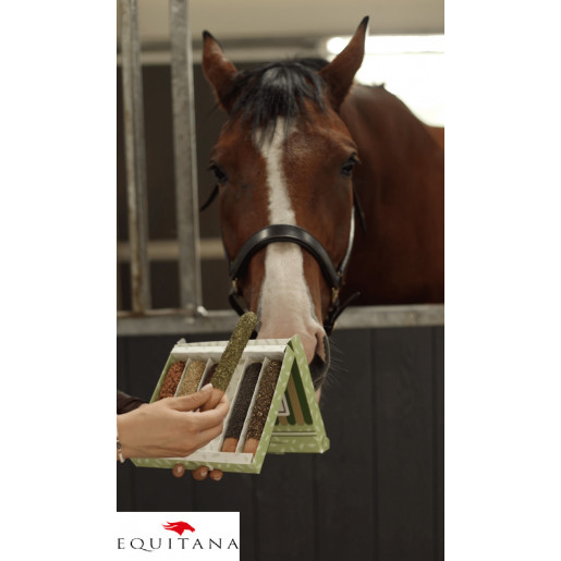 Sticksuri cu plante medicinale Candy Horse