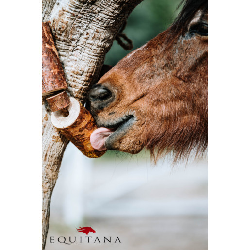 Jucarie din lemn Candy Horse Natural