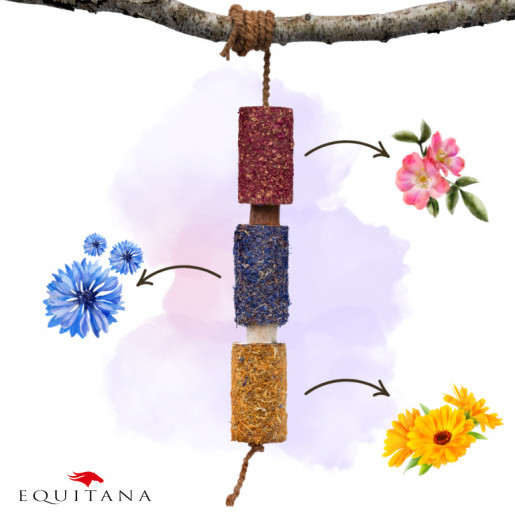 Jucarie din lemn Candy Horse Happiness