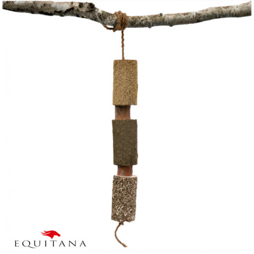 Jucarie din lemn Candy Horse Recovery