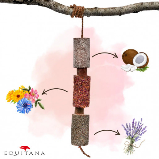 Jucarie din lemn Candy Horse Relax