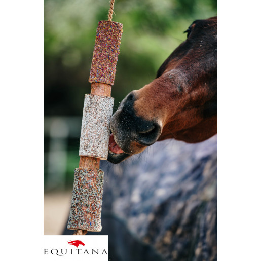 Jucarie din lemn Candy Horse Relax