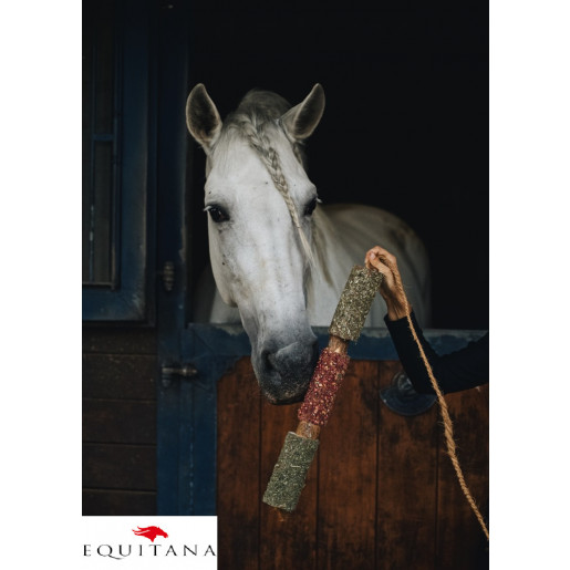 Jucarie din lemn Candy Horse Immunity