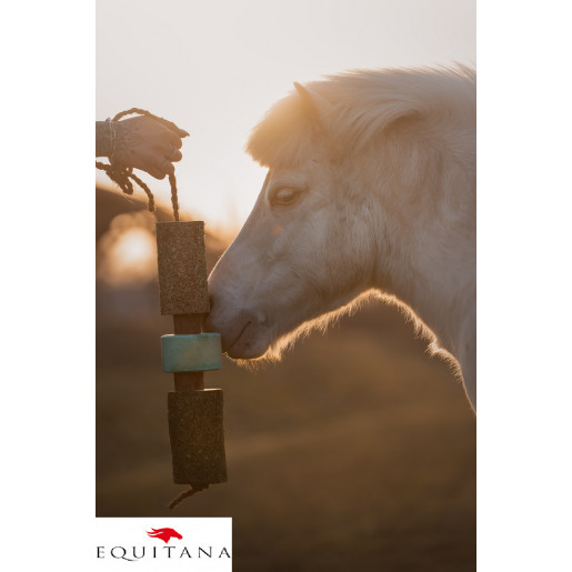 Jucarie din lemn Candy Horse Breath