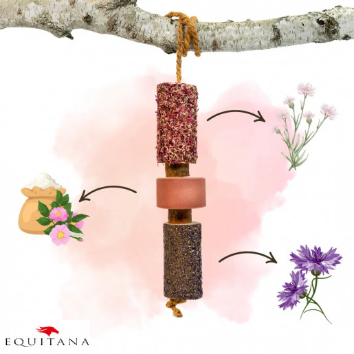 Jucarie din lemn Candy Horse Tummy