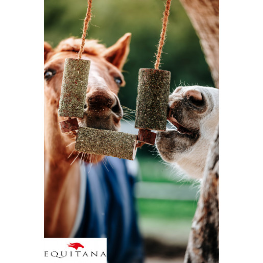 Jucarie din lemn Candy Horse Calm