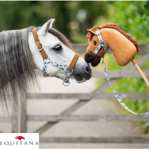 Capastru Stable Buddy QHP