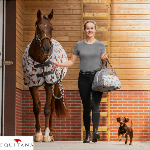 Capastru Stable Buddy QHP