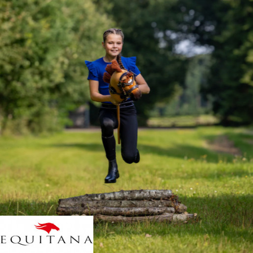 Frau Hobby Horse Dolly QHP 