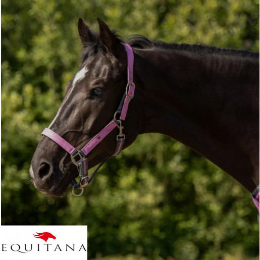 Set capastru cu lesa QHP Collection 2026