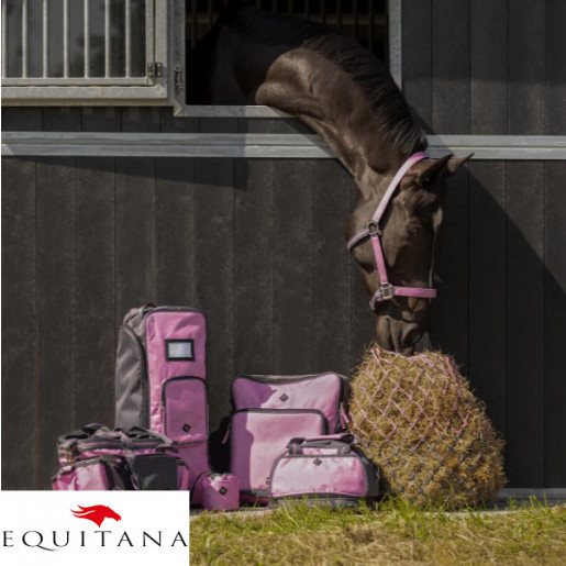 Set capastru cu lesa QHP Collection 2026