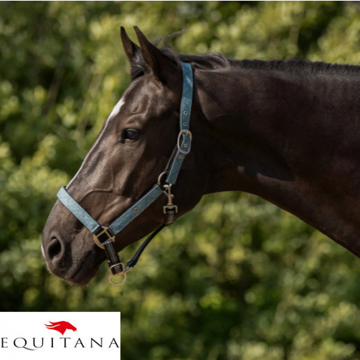 Set capastru cu lesa QHP Collection 2026