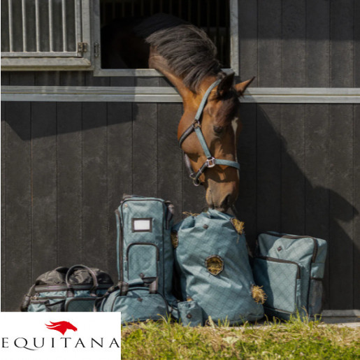 Set capastru cu lesa QHP Collection 2026