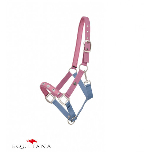 Capastru Rosalynn QHP