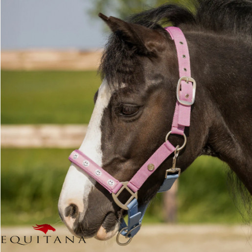 Capastru Rosalynn QHP