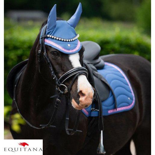 Capison Rosalynn QHP