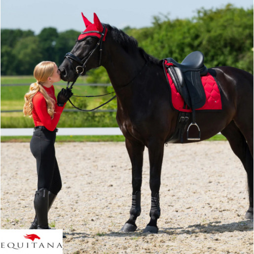 Colanti Oakleigh QHP