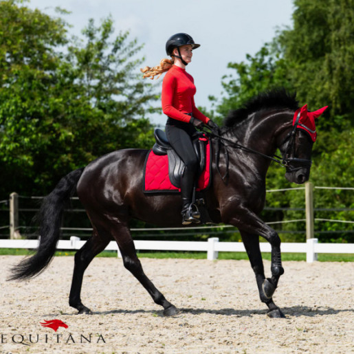 Colanti Oakleigh QHP