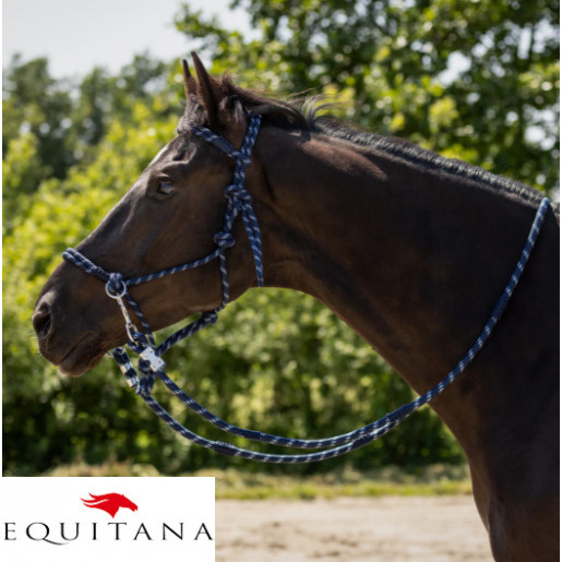 Capastru cu darlogi QHP