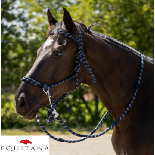 Capastru cu darlogi QHP