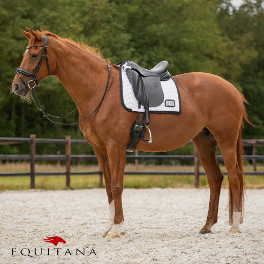 Valtrap QHP cu numar