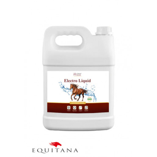 Electroliti Over Horse