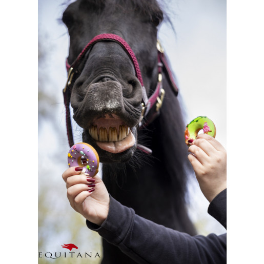 Gogosi glazurate Candy Horse Stable Party EDITIE LIMITATA!