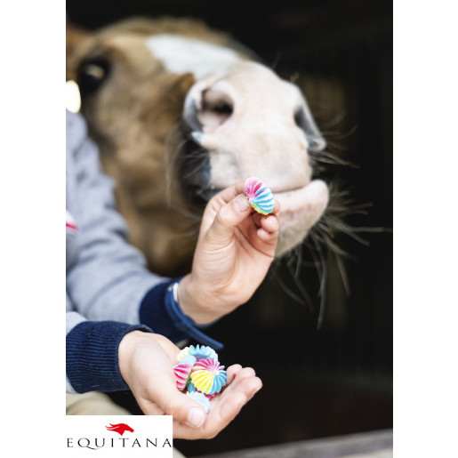 Bezele Candy Horse Stable Party