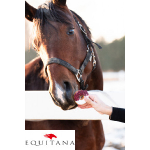 Gogosi cu hibiscus si macese Candy Horse Stable Party