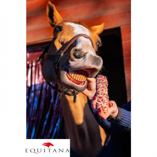 Ecler cu mix de albastrele Candy Horse