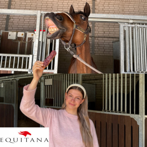 Ecler cu hibiscus Candy Horse