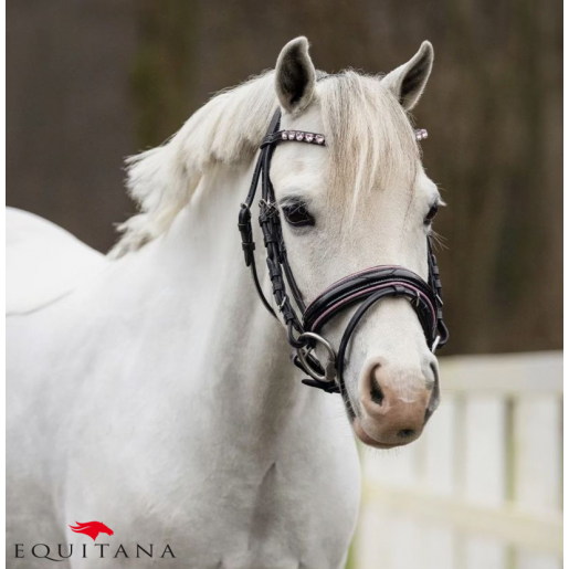 Frau Bixie QHP