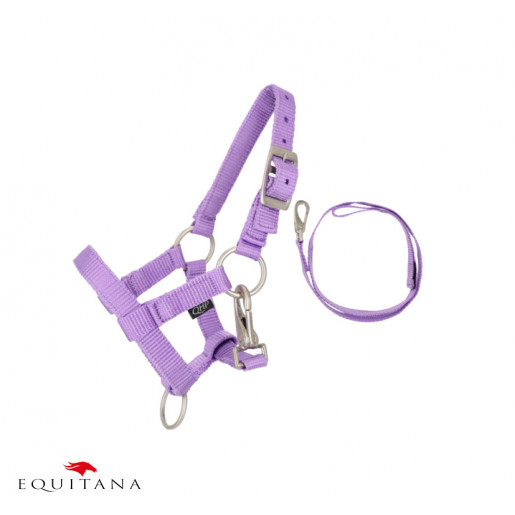 Set capastru cu lesa Hobby Horse QHP