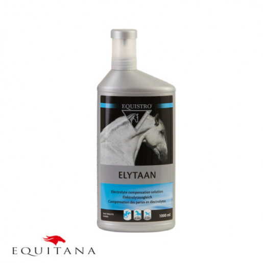 Equistro Elytaan