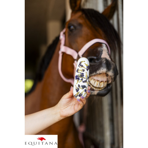 Ecler Candy Horse Klitoria Rainbow World
