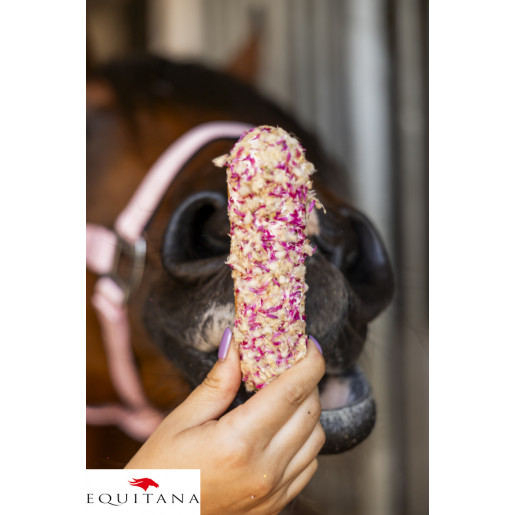 Ecler Candy Horse Gomfrena Rainbow World
