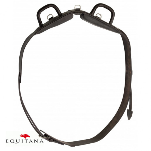 Chinga pentru voltija, Norton