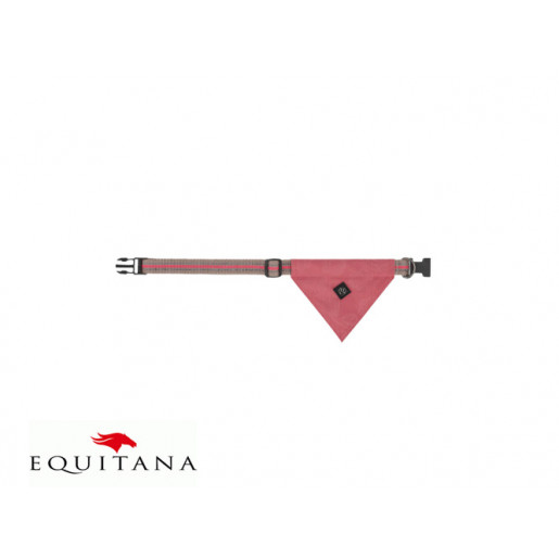 Zgarda caini QHP Collection
