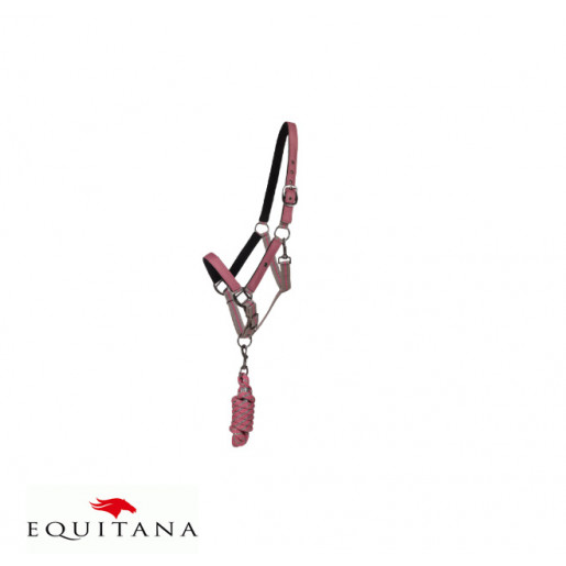 Set capastru cu lesa QHP Collection