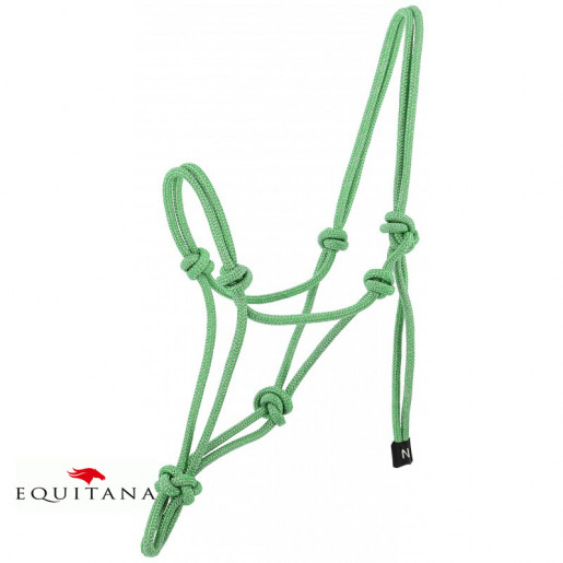 Capastru de dresaj natural, Norton