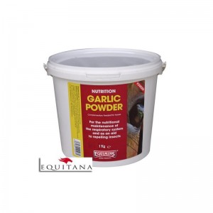 Praf pur de usturoi, Pure Garlic Powder, Equimins-1097