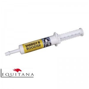 Supliment nutritiv pentru energie Energy Booster Equimins